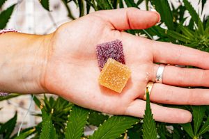 Pain Management Made Easy: The Best THC Gummies for Chronic Pain Relief